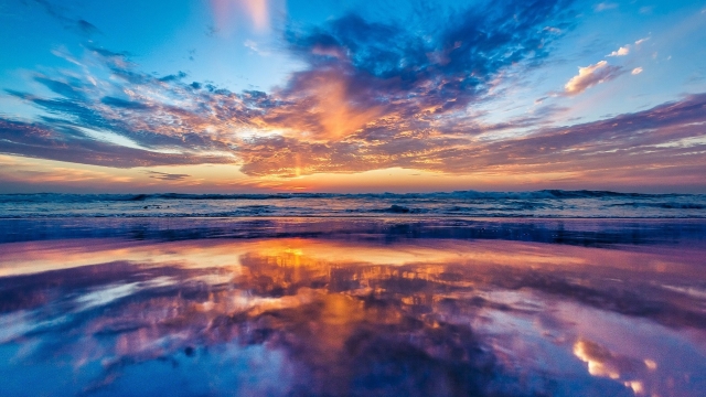 必威公司：全方位展示：不同类型塑胶跑道材料特点详解！